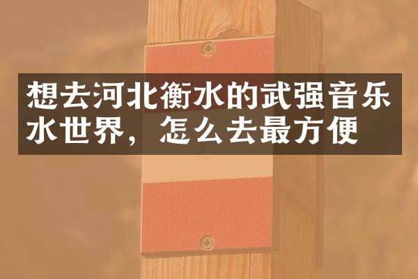 想去河北衡水的武强音乐水世界，怎么去最方便