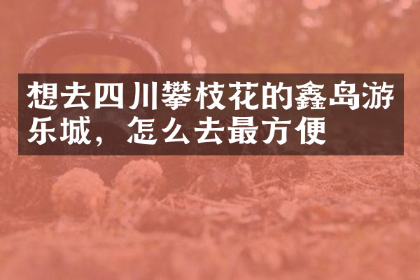 想去四川攀枝花的鑫岛游乐城，怎么去最方便