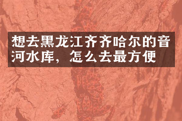 想去黑龙江齐齐哈尔的音河水库，怎么去最方便
