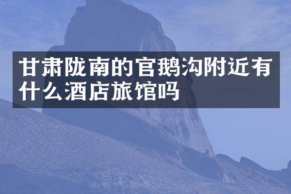 甘肃陇南的官鹅沟附近有什么酒店旅馆吗