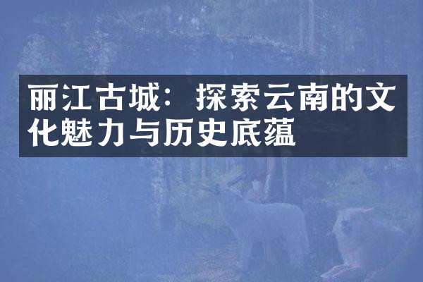 丽江古城：探索云南的文化魅力与历史底蕴