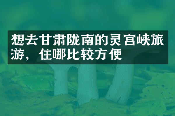 想去甘肃陇南的灵宫峡旅游，住哪比较方便