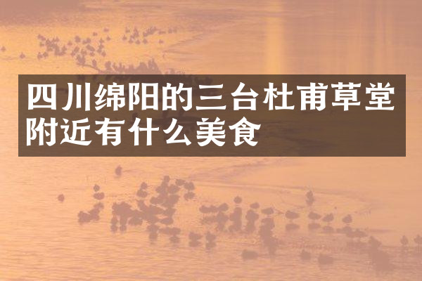 四川绵阳的三台杜甫草堂附近有什么美食