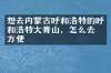 想去内蒙古呼和浩特的呼和浩特大青山，怎么去最方便
