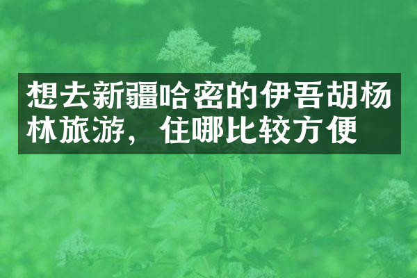 想去新疆哈密的伊吾胡杨林旅游，住哪比较方便