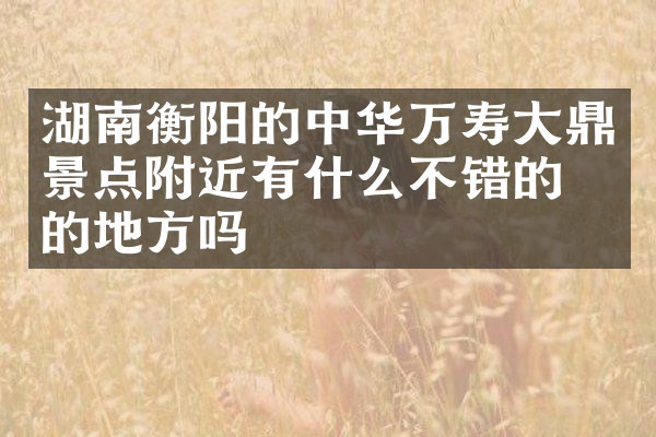 湖南衡阳的中华万寿大鼎景点附近有什么不错的住的地方吗