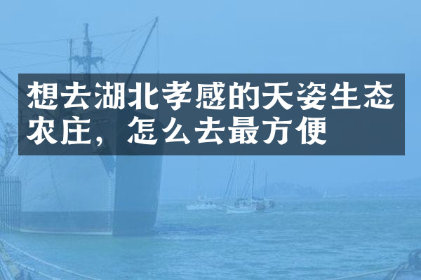 想去湖北孝感的天姿生态农庄，怎么去最方便