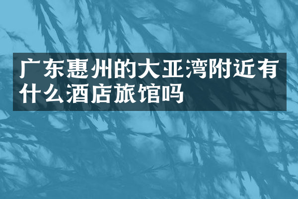 广东惠州的大亚湾附近有什么酒店旅馆吗