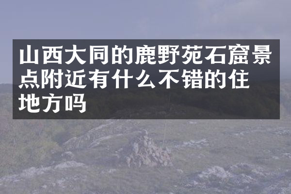 山西大同的鹿野苑石窟景点附近有什么不错的住的地方吗