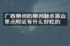 广西柳州的柳州融水苗山景点附近有什么好吃的