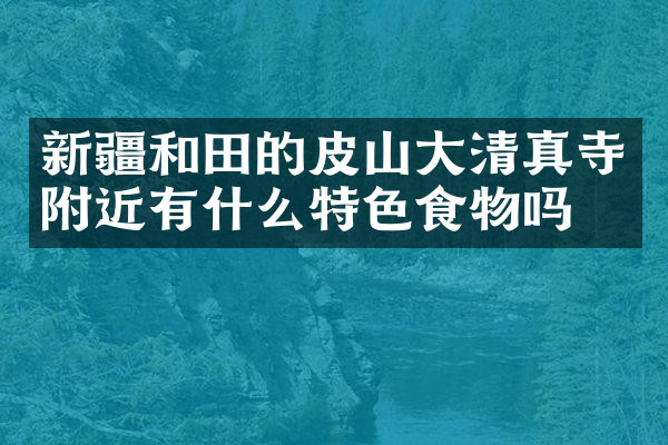 新疆和田的皮山大清真寺附近有什么特色食物吗