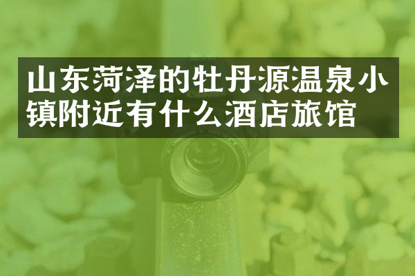 山东菏泽的牡丹源温泉小镇附近有什么酒店旅馆吗