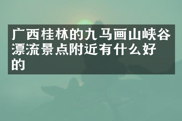 广西桂林的九马画山峡谷漂流景点附近有什么好吃的
