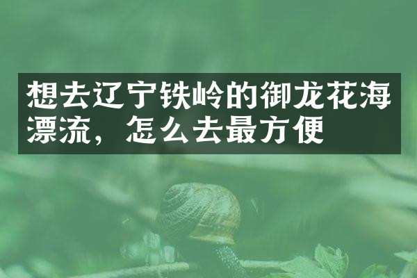 想去辽宁铁岭的御龙花海漂流，怎么去最方便
