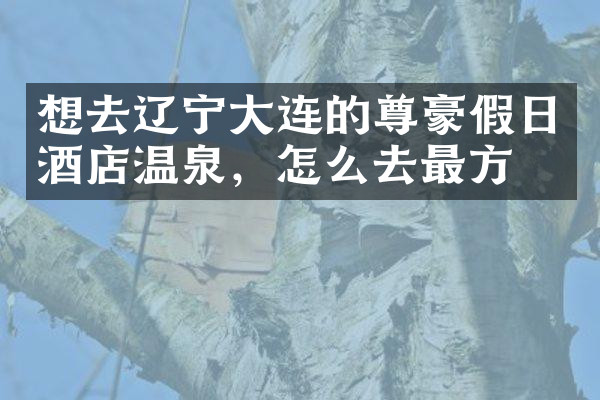 想去辽宁大连的尊豪假日酒店温泉，怎么去最方便