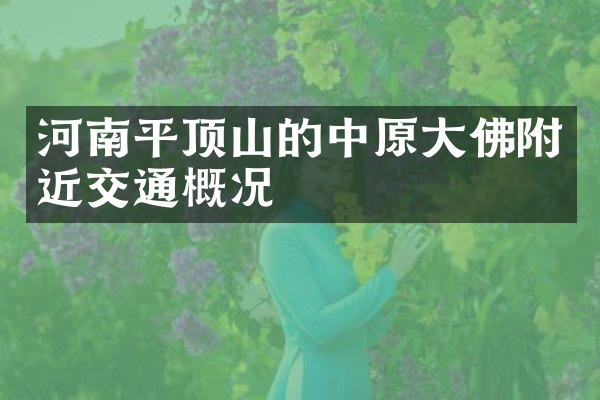 河南平顶山的中原大佛附近交通概况