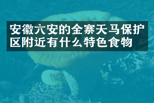 安徽六安的金寨天马保护区附近有什么特色食物吗