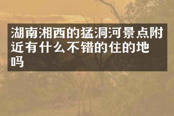 湖南湘西的猛洞河景点附近有什么不错的住的地方吗