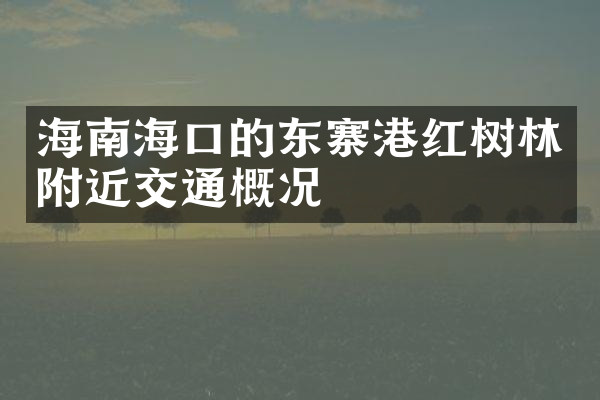 海南海口的东寨港红树林附近交通概况
