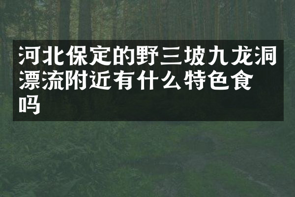 河北保定的野三坡九龙洞漂流附近有什么特色食物吗