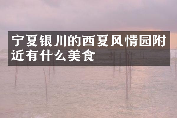 宁夏银川的西夏风情园附近有什么美食