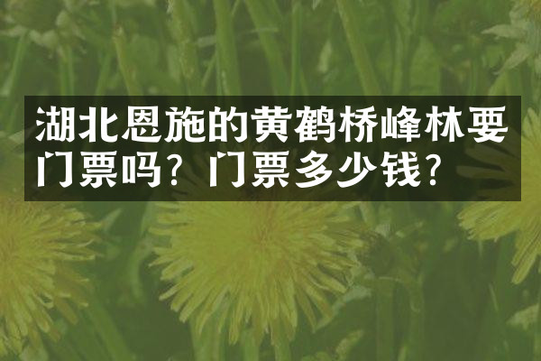 湖北恩施的黄鹤桥峰林要门票吗？门票多少钱？