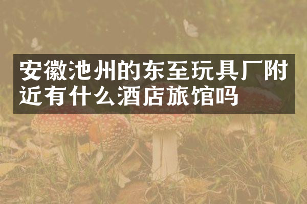 安徽池州的东至玩具厂附近有什么酒店旅馆吗