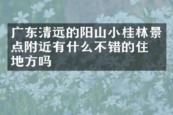 广东清远的阳山小桂林景点附近有什么不错的住的地方吗