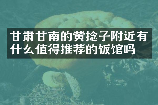 甘肃甘南的黄捻子附近有什么值得推荐的饭馆吗