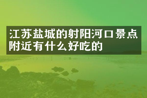 江苏盐城的射阳河口景点附近有什么好吃的