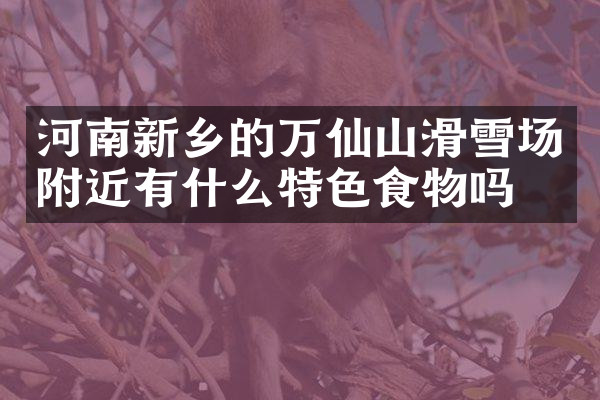 河南新乡的万仙山滑雪场附近有什么特色食物吗