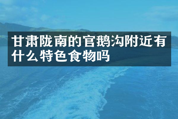 甘肃陇南的官鹅沟附近有什么特色食物吗