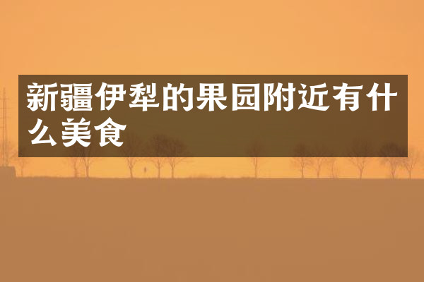 新疆伊犁的果园附近有什么美食