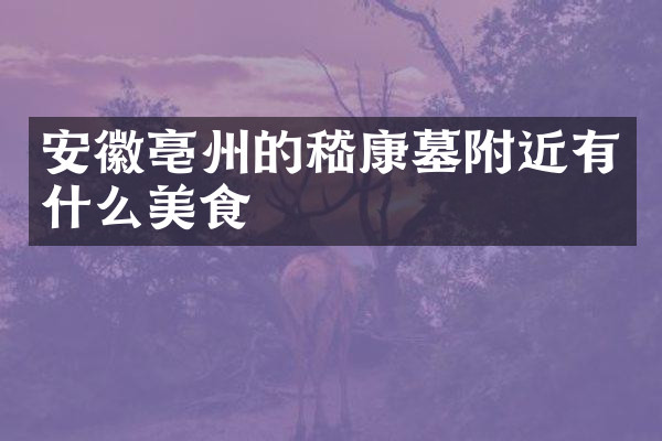 安徽亳州的嵇康墓附近有什么美食