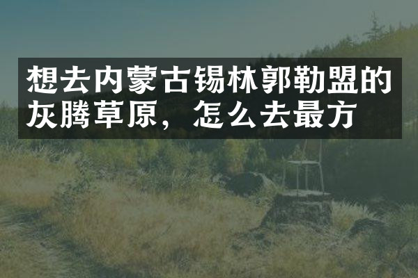 想去内蒙古锡林郭勒盟的灰腾草原，怎么去最方便