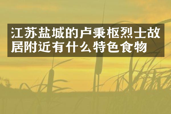 江苏盐城的卢秉枢烈士故居附近有什么特色食物吗