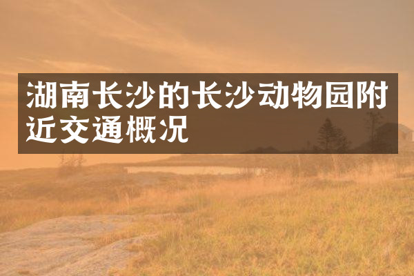 湖南长沙的长沙动物园附近交通概况