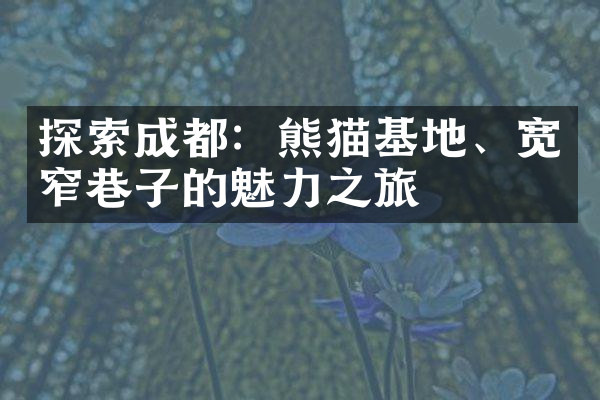 探索成都：熊猫基地、宽窄巷子的魅力之旅