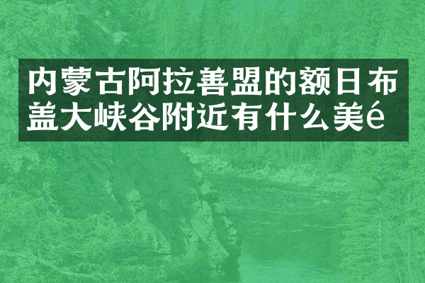 内蒙古阿拉善盟的额日布盖大峡谷附近有什么美食