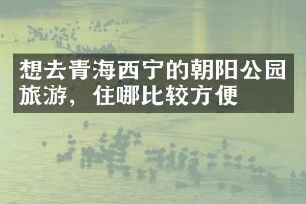 想去青海西宁的朝阳公园旅游，住哪比较方便