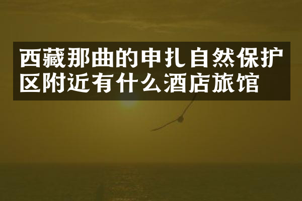 西藏那曲的申扎自然保护区附近有什么酒店旅馆吗