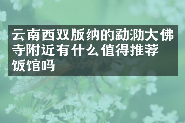 云南西双版纳的勐泐大佛寺附近有什么值得推荐的饭馆吗