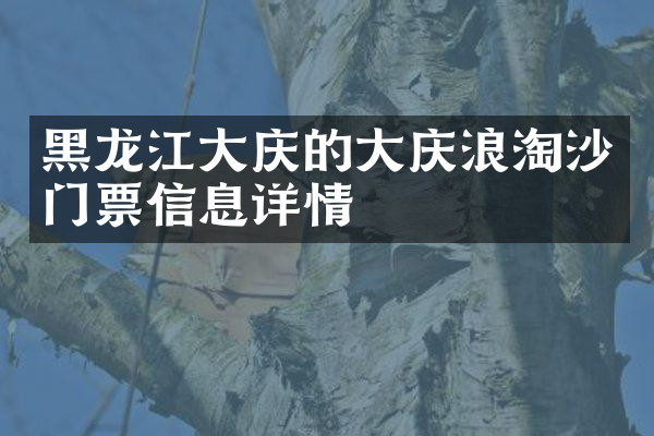 黑龙江大庆的大庆浪淘沙门票信息详情