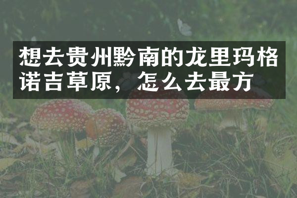 想去贵州黔南的龙里玛格诺吉草原，怎么去最方便