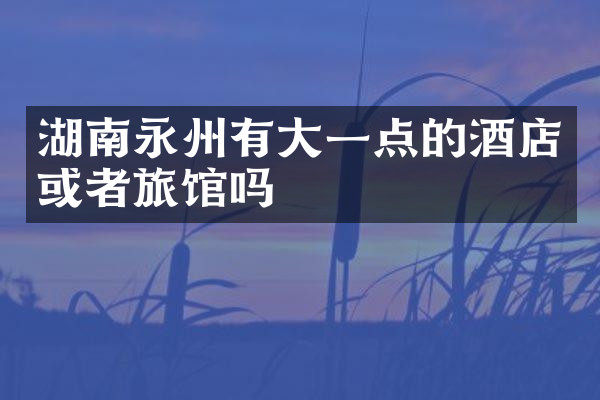 湖南永州有大一点的酒店或者旅馆吗