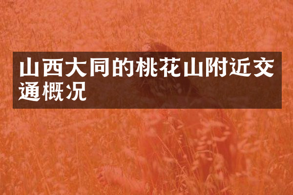 山西大同的桃花山附近交通概况