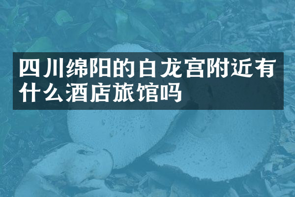 四川绵阳的白龙宫附近有什么酒店旅馆吗