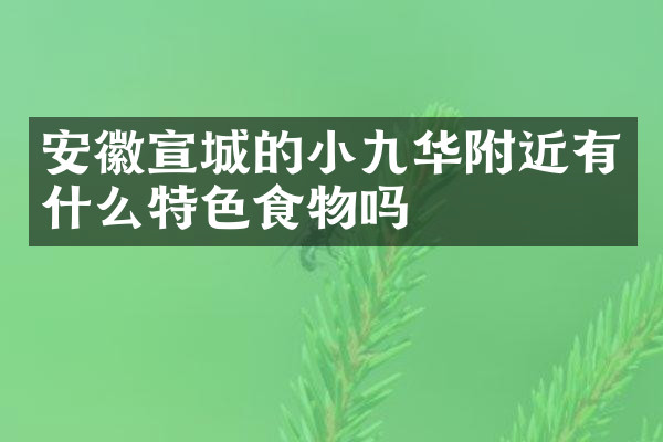 安徽宣城的小九华附近有什么特色食物吗