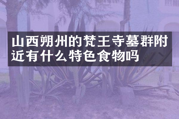 山西朔州的梵王寺墓群附近有什么特色食物吗