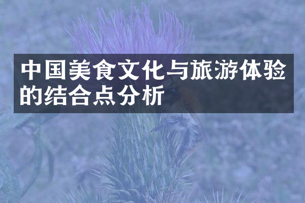 中国美食文化与旅游体验的结合点分析